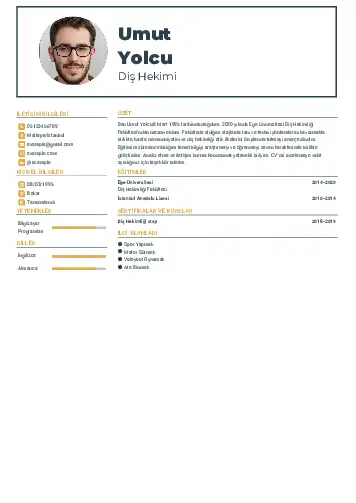 Diş Hekimi cv indir